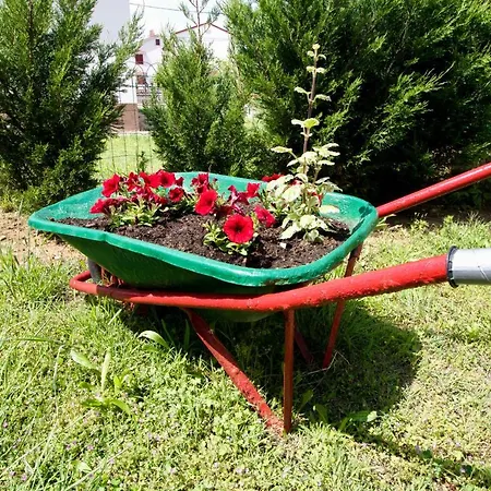 Pensjonat & Albina 3*