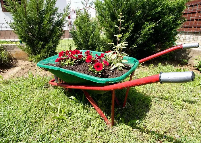 Pensjonat & Albina 3*
